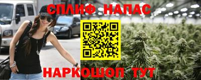 прущий лед Будённовск