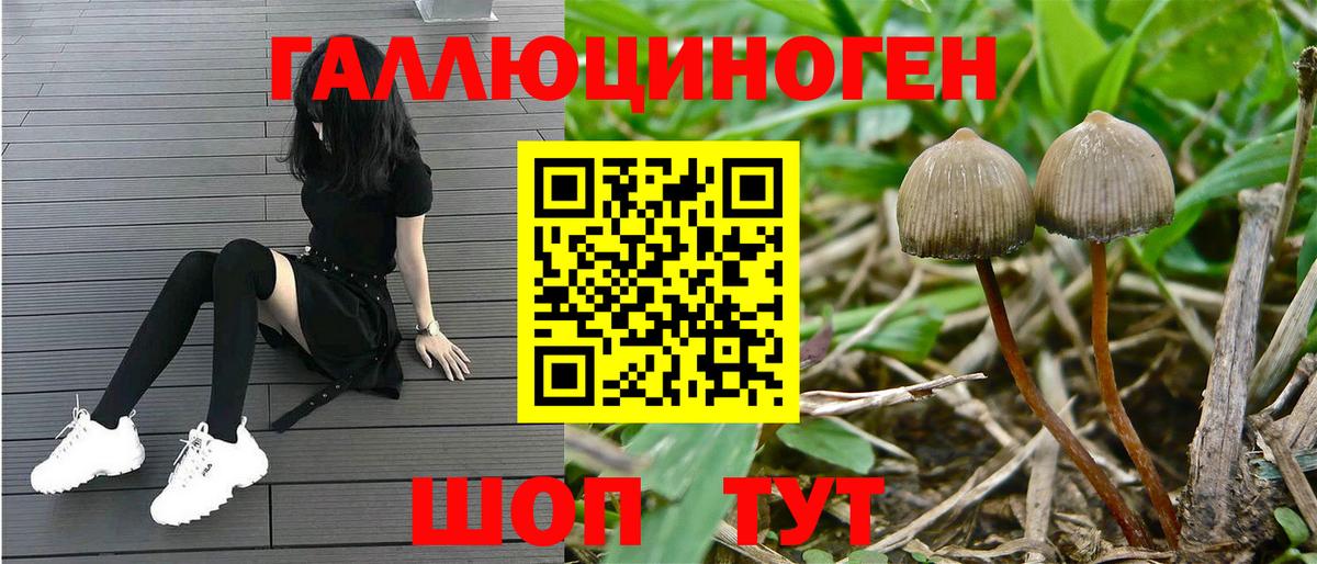 Псилоцибиновые грибы Magic Shrooms  сколько стоит  Краснокамск  Вход с VPN 